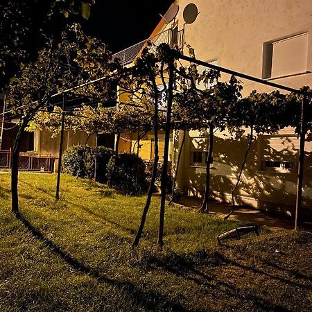 Entire 1-Bedroom Apartment With Free Parking Подгорица Экстерьер фото